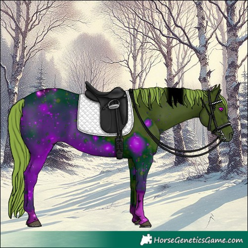 Horse Color:ERROR: UNKNOWN ANOMALY