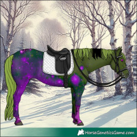 Horse Color:ERROR: UNKNOWN ANOMALY