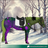 Horse Color:ERROR: UNKNOWN ANOMALY