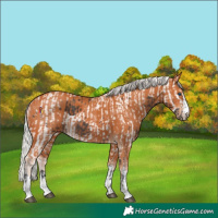 Horse Color:Platinum Brown Harlequin Merle and Silver Bay