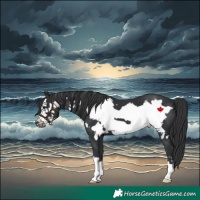 Horse Color:Black Frame 