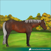 Horse Color:Silver Brown 