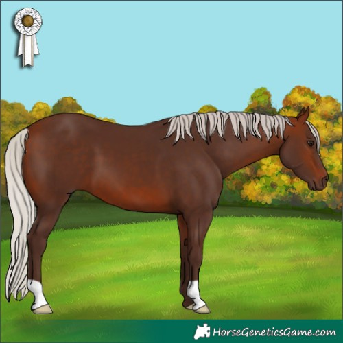 Horse Color:Silver Bay 