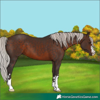 Horse Color:Silver Brown 