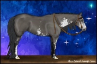 Horse Color:Grullo Sabino Frame