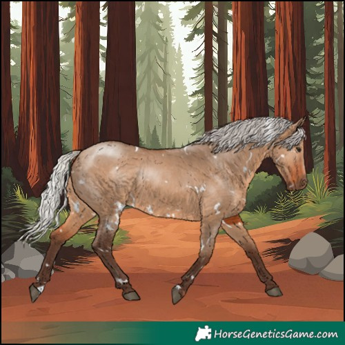 Horse Color:White Spotted Silver Brown Dun 