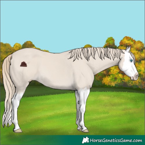 Horse Color:Smoky Creme Splash 