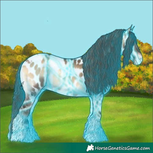 Horse Color:Thunderstruck Bay Onyx Tobiano Appaloosa