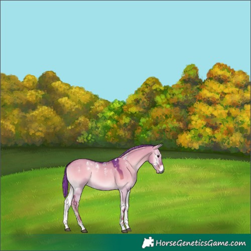 Horse Color:Powder White Gray Watercolor Red Dun Onyx 