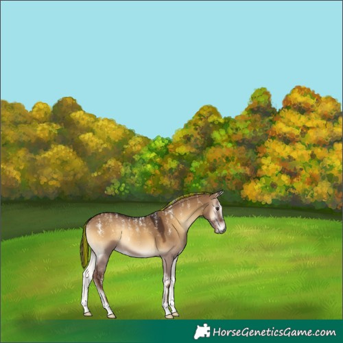 Horse Color:Powder White Gray Painted Red Dun Onyx 