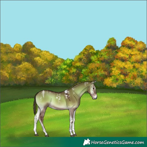 Horse Color:Powder White Gray Painted Red Dun Onyx 