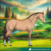 Horse Color:Bay Dun