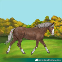 Horse Color:Silver Black 
