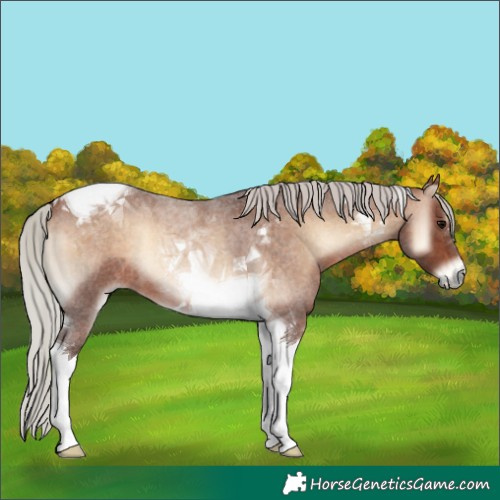 Horse Color:Silver Brown Roan Onyx Tobiano 