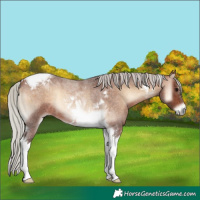Horse Color:Silver Brown Roan Onyx Tobiano