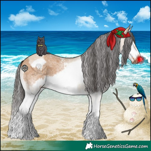 Horse Color:White Spotted Bay Dun Splash and White Spotted Bay Dun Splash Frame