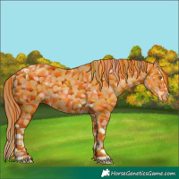 Horse Color:Gold Champagne Splash Tobiano 