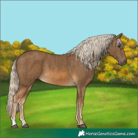 Horse Color:Chocolate Palomino  and Chocolate Palomino 