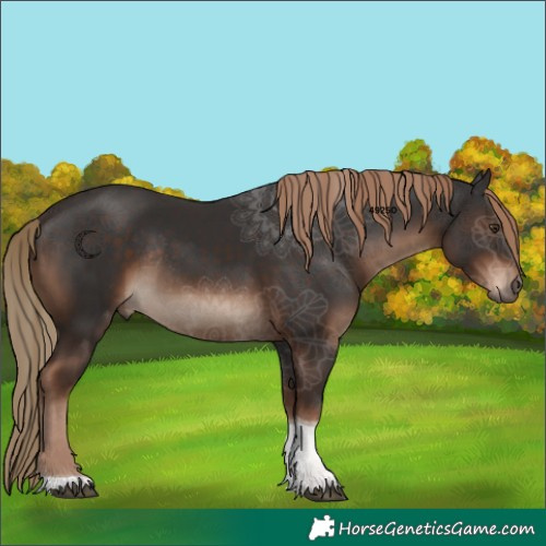 Horse Color:Liver Chestnut Tobiano Rabicano 