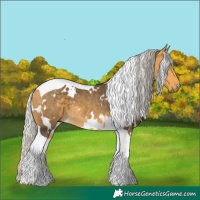 Horse Color:White Spotted Silver Buckskin Tobiano 