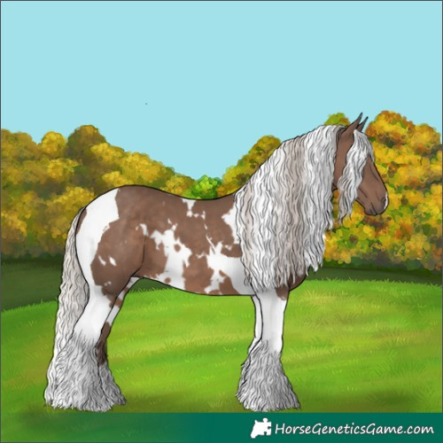 Horse Color:White Spotted Silver Black Tobiano