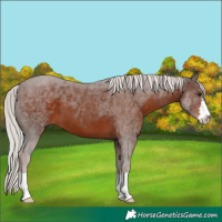 Horse Color:Silver Brown
