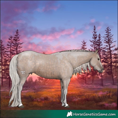 Horse Color:Silver Brown Dun Brindle 