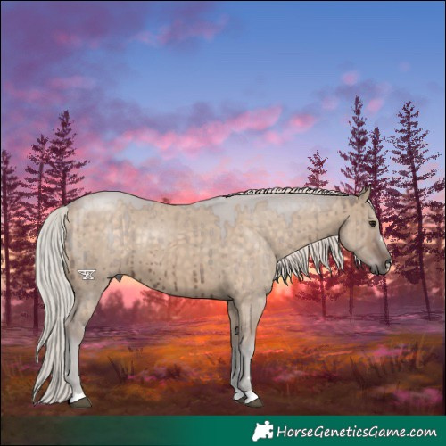 Horse Color:Silver Brown Dun Brindle 