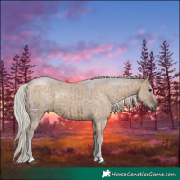 Horse Color:Silver Brown Dun Brindle 