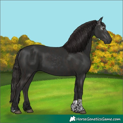 Horse Color:Liver Chestnut  and Gray Liver Chestnut 