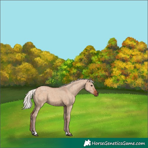 Horse Color:Silver Brown Dun Brindle 