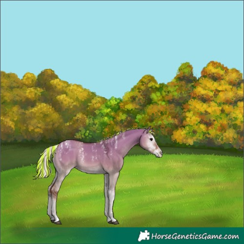 Horse Color:Powder White Painted Silver Grullo Onyx 