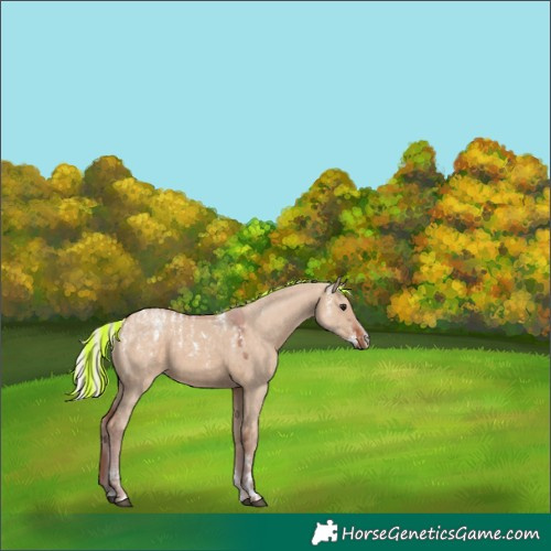 Horse Color:Powder White Painted Silver Brown Dun