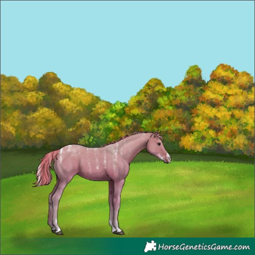 Horse Color:Powder White Painted Silver Brown Dun 