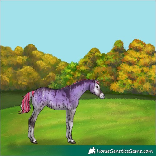 Horse Color:Powder White Painted Silver Brown Onyx Brindle