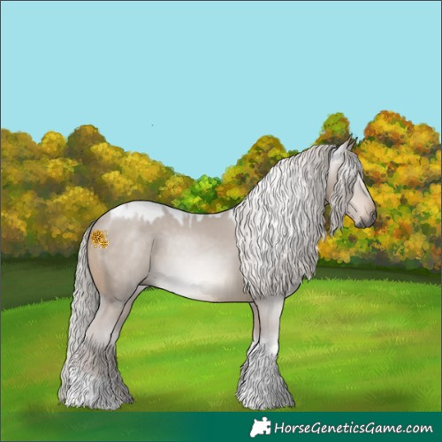 Horse Color:Gray Silver Brown Dun Tobiano 