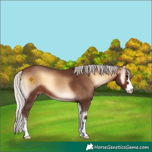 Horse Color:Silver Bay Onyx 