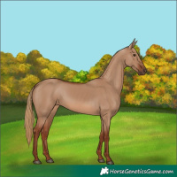 Horse Color:Red Dun 