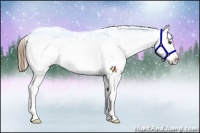 Horse Color:Smoky Blue Roan Frame Appaloosa 