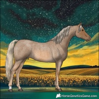 Horse Color:Chocolate Palomino Roan 