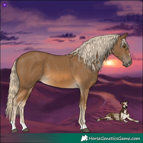Horse Color:Chocolate Palomino 
