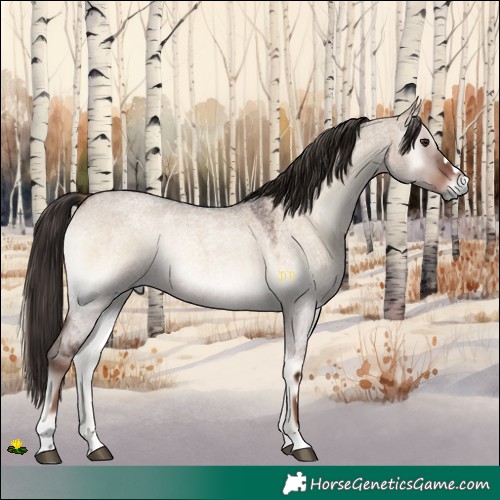 Horse Color:Liver Red Dun Roan Onyx 