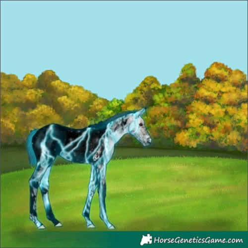 Horse Color:Void Platinum Thunderstruck Bay Ice Onyx Tobiano Appaloosa 