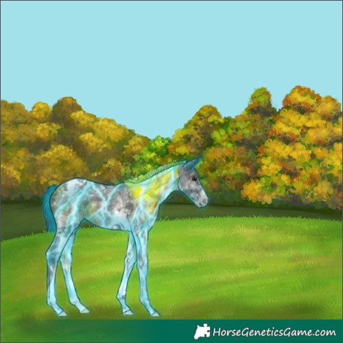 Horse Color:Thunderstruck White Spotted Brown Ice Tobiano
