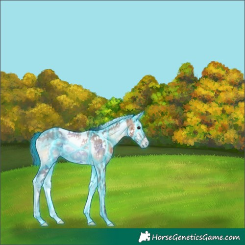 Horse Color:Thunderstruck Bay Ice Onyx Tobiano Frame