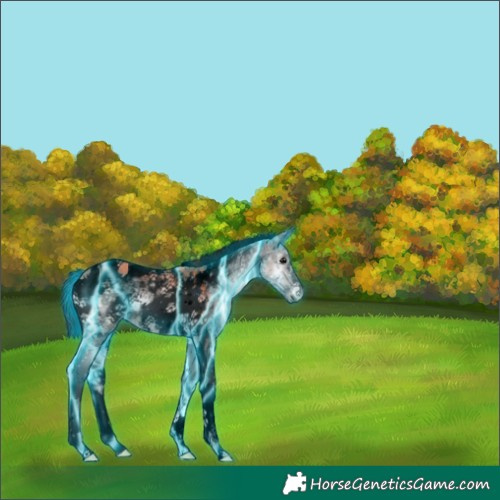 Horse Color:Void Platinum Thunderstruck Bay Ice Onyx Tobiano Frame Rabicano 
