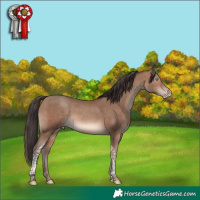 Horse Color:Sable Champagne Tobiano 