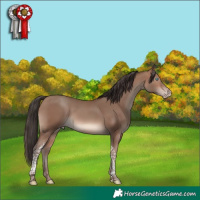 Horse Color:Sable Champagne Tobiano 