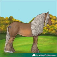 Horse Color:Chocolate Palomino