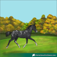 Horse Color:Powder White Black 